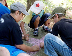 Summer Camp Img